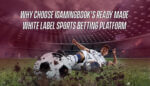 Why Choose iGamingBook’s Ready Made Sports Betting Platform?