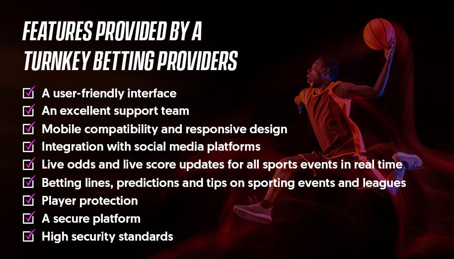 Features Provided by a Turnkey Betting Providers - iGamingBook