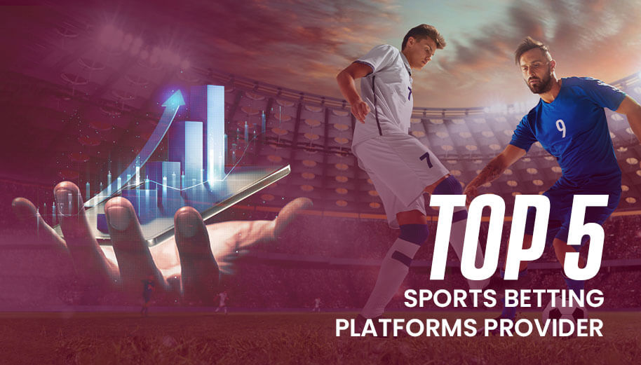 Top 5 Sports Betting Platforms Provider - iGamingBook