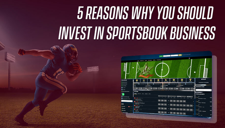 5 Reasons Why You Should Invest in Sportsbook Business