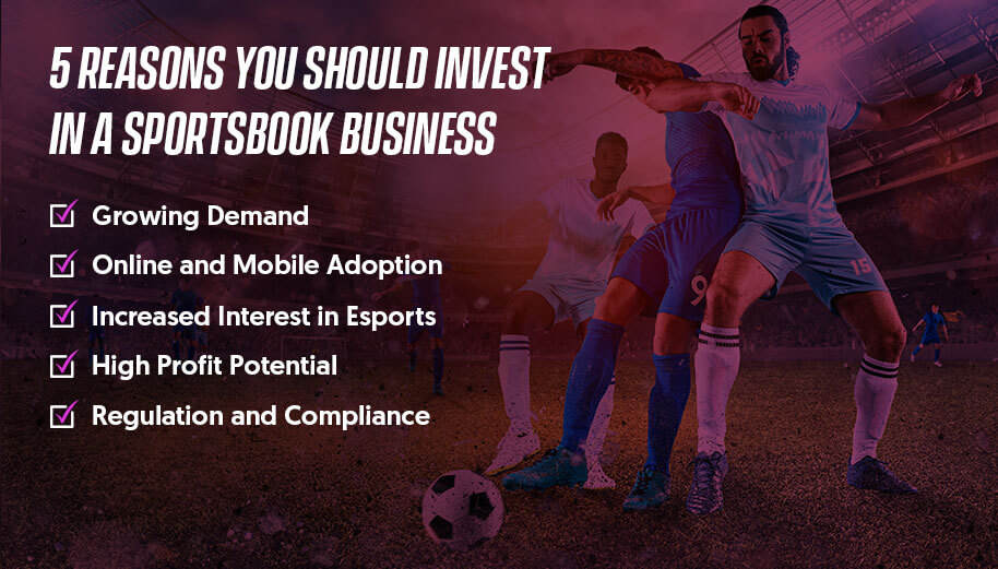 Reasons to invest in Sportsbook Business - iGamingBook
