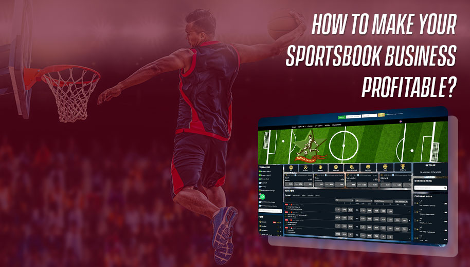 How to Make Your Sportsbook Business Profitable? - iGamingBook