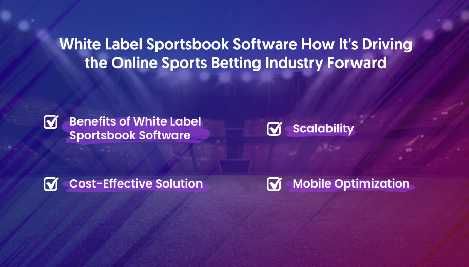 Benefits of White Label Sportsbook Software - iGamingBook