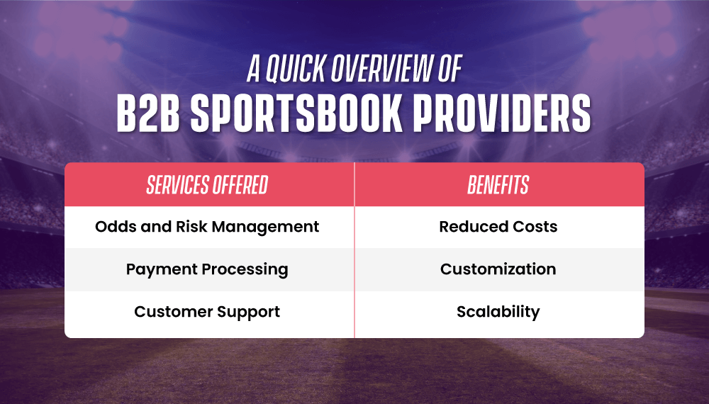 Overview of B2B Sportsbook Providers' Services and Benefits