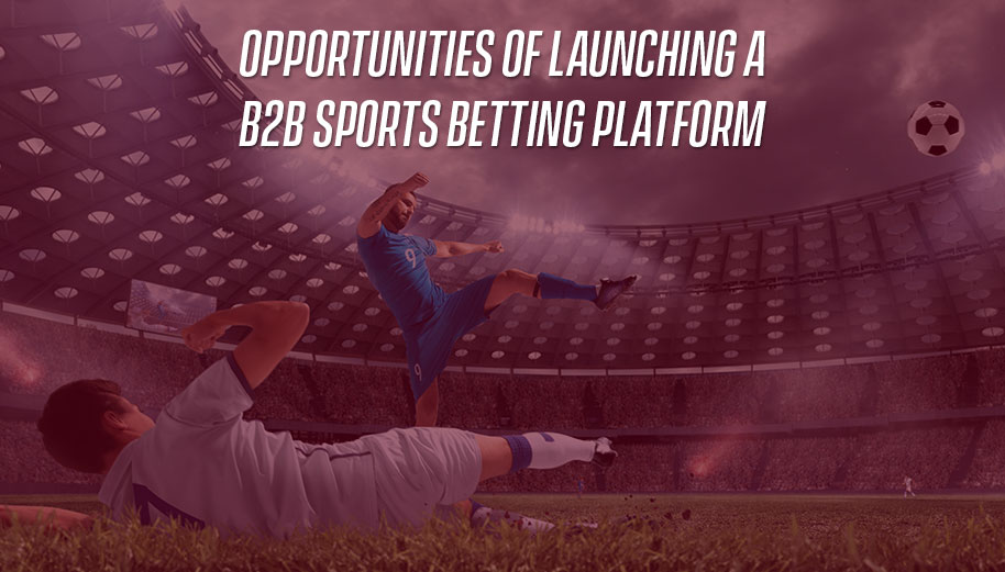 Opportunities of Launching a B2B Sports Betting Platform - iGamingBook