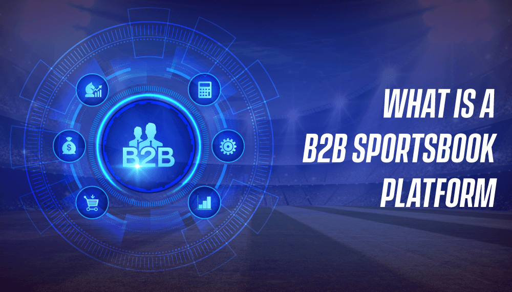 What Is a B2B Sportsbook Platform?