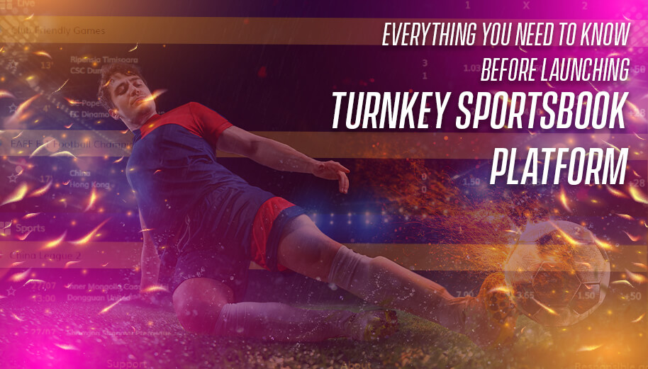 Everything You Need To Know Before Launching Turnkey Sportsbook Platform