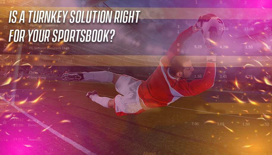 Is a Turnkey Solution Right for Your Sportsbook?