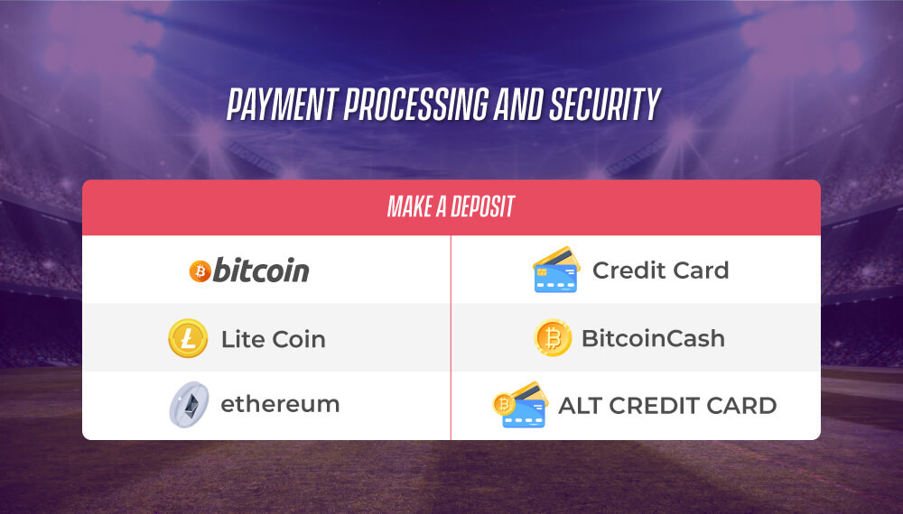 Payment Processing and Security
