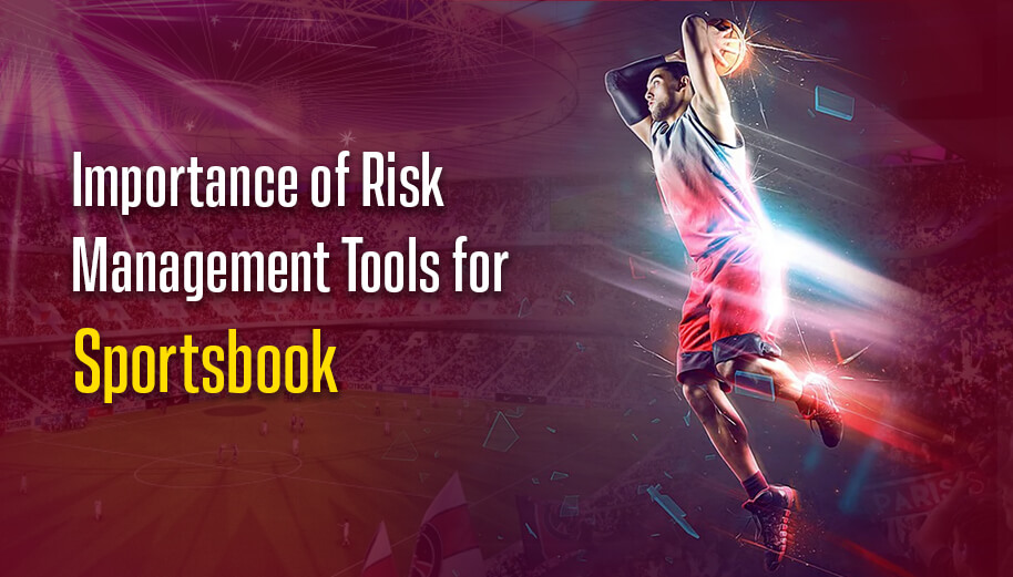 Why Risk Management Tools Are Important for iGaming Business