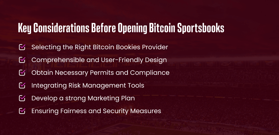 Key Considerations Before Opening Bitcoin Sportsbooks