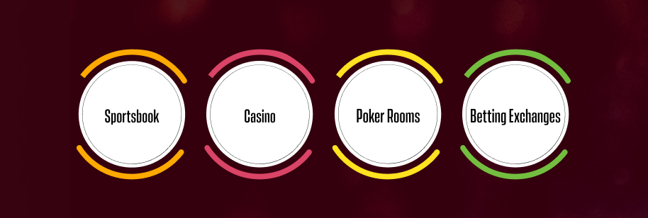 Types of Online Sports Betting Businesses