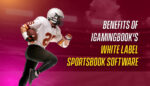 Benefits of iGamingBook’s White Label Sportsbook Software